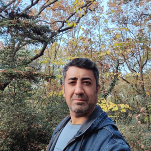 Full-stack developer